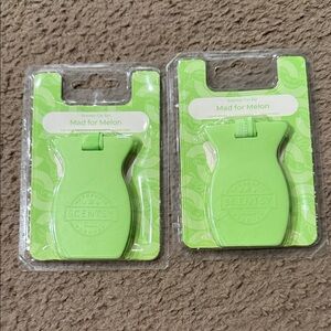 Mad for Melon Scentsy Car Bars